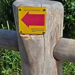 Oudshoorn 公寓 埃尔芬