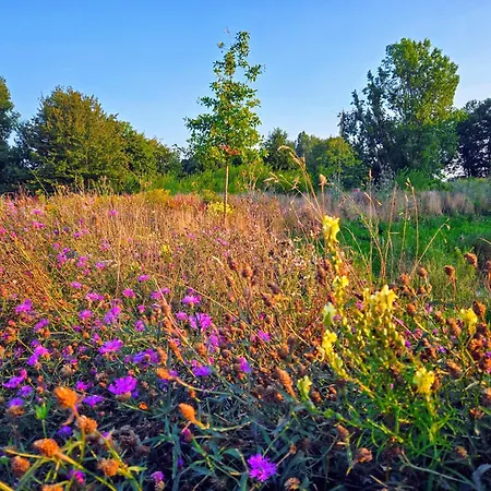 Oudshoorn Alphen aan den Rijn
