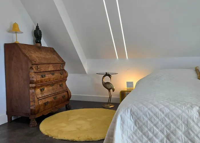 Oudshoorn ألفن آن دن راين