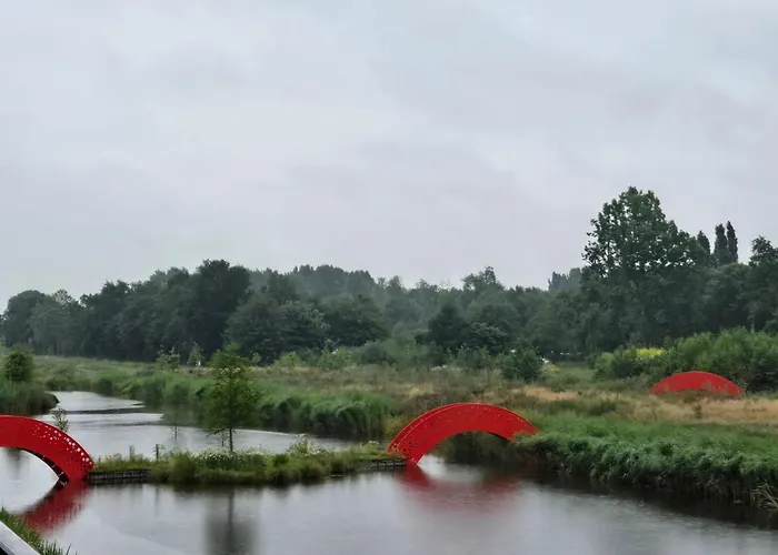 Oudshoorn * ألفن آن دن راين