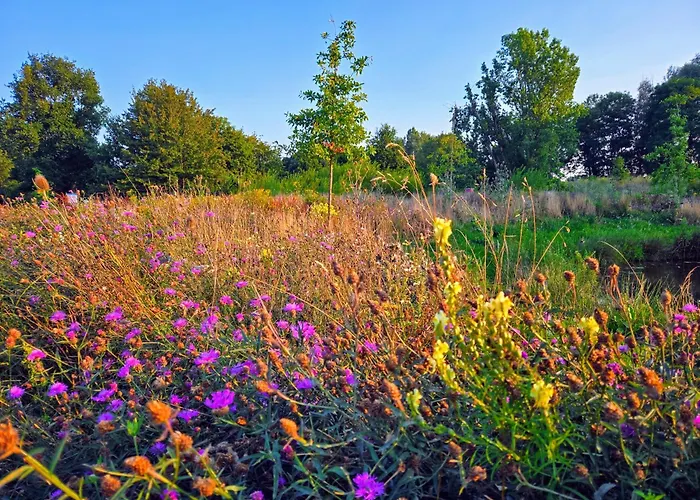 Oudshoorn Άλφεν αν ντεν Ράιν
